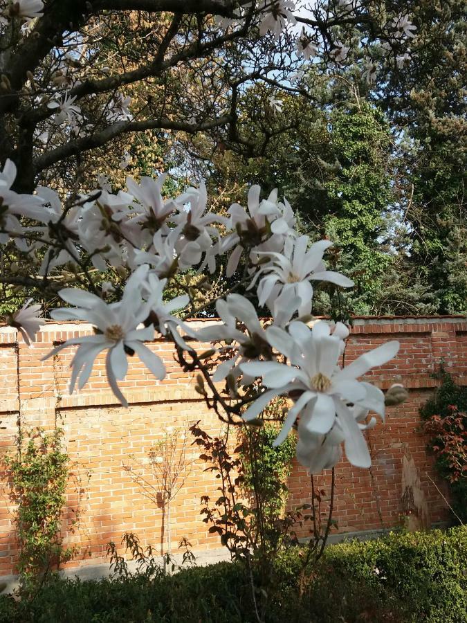 A Casa Di Dora Panzió Treviso Kültér fotó